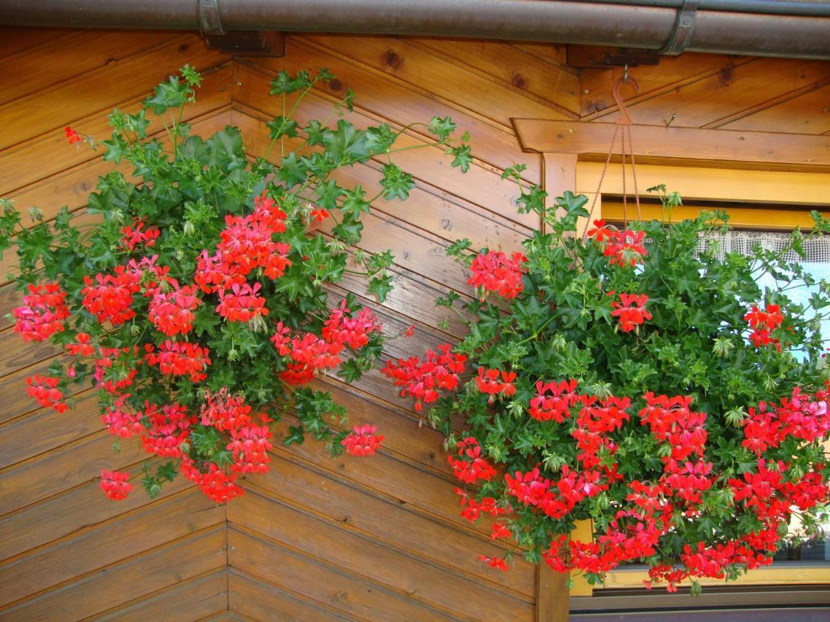 Haus Annemarie Apartments Kartitsch - Hochpustertal Zewnętrze zdjęcie