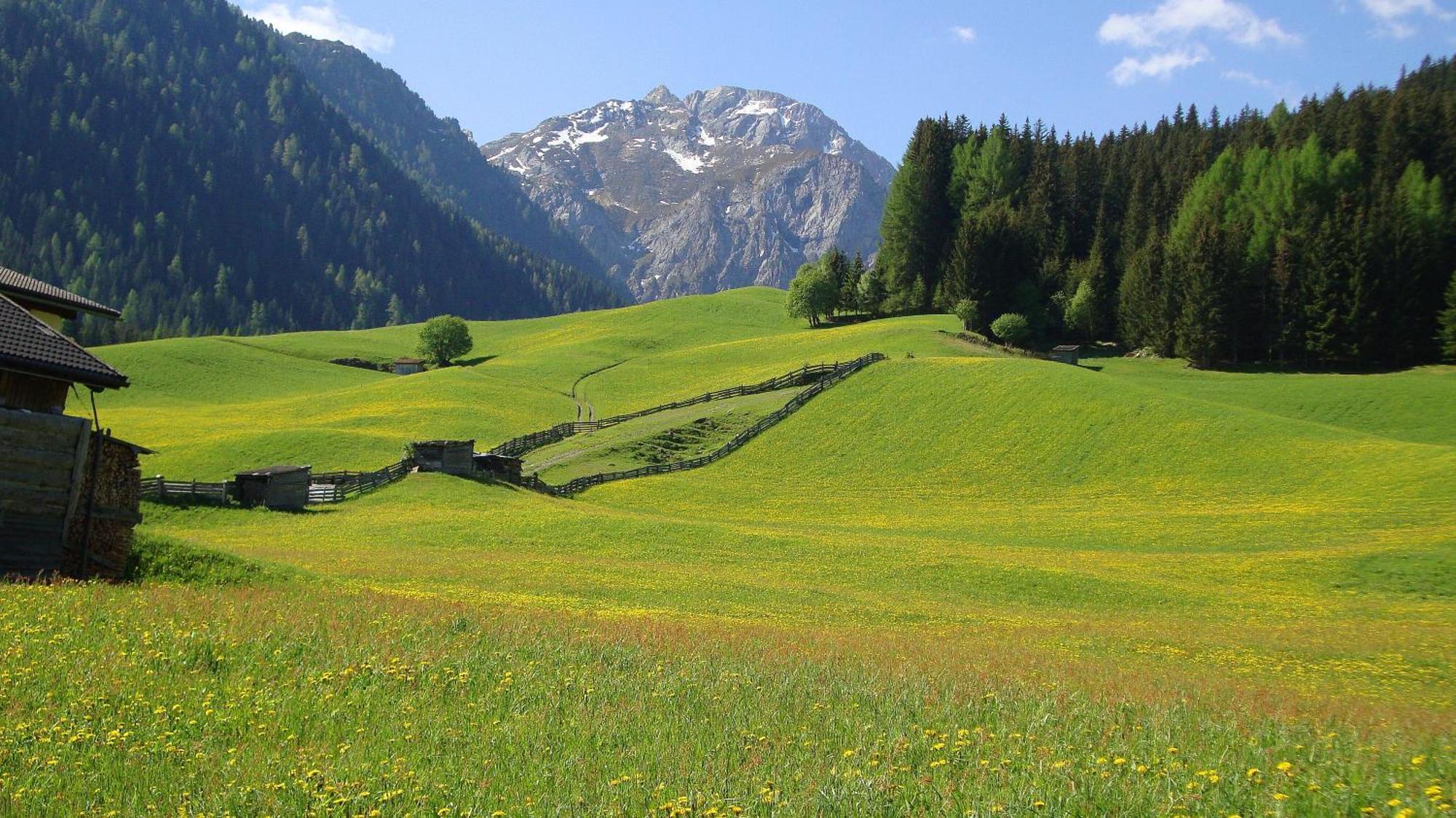 Haus Annemarie Apartments Kartitsch - Hochpustertal Zewnętrze zdjęcie