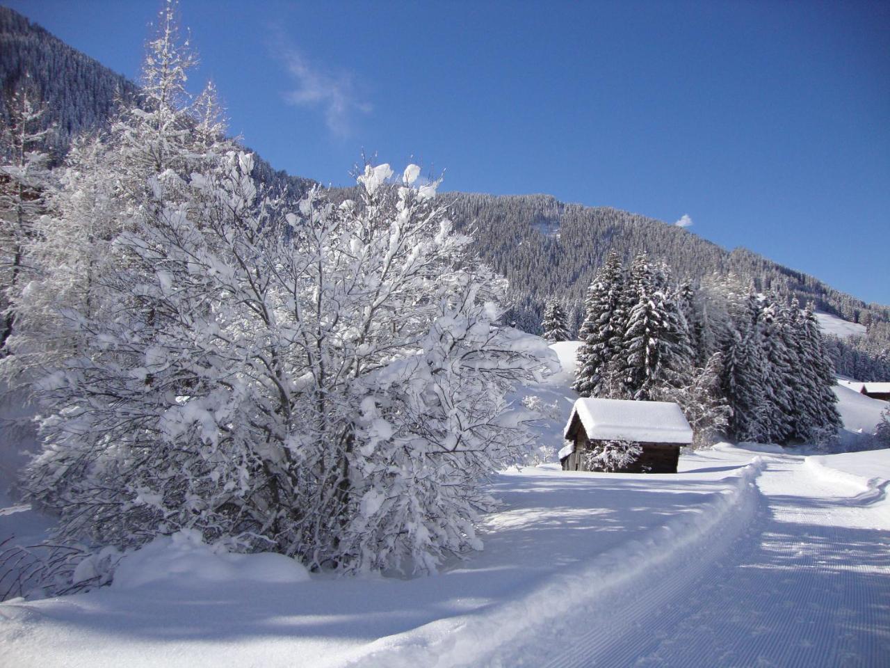 Haus Annemarie Apartments Kartitsch - Hochpustertal Zewnętrze zdjęcie