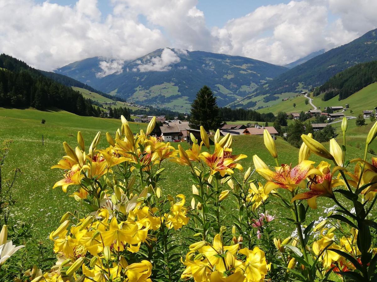 Haus Annemarie Apartments Kartitsch - Hochpustertal Zewnętrze zdjęcie